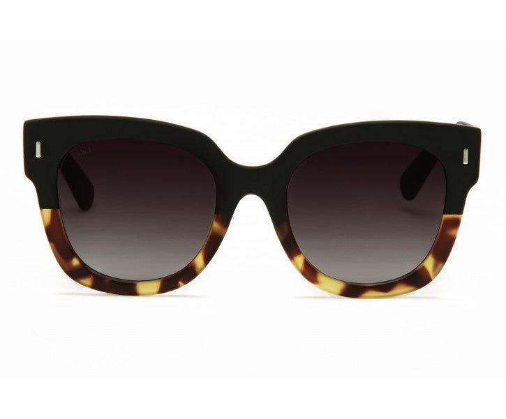 KERR Sunglasses Available in more colors Bicolour Tortoise/Black  